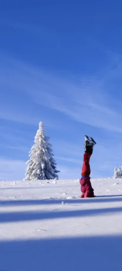 SALEWA Women's Alpenrose 2 Mid GTX - Walking Boots -La Sporttock Shop salewa womens alpenrose 2 mid gtx wanderschuhe 657162551c400736b0567ca1d6a2ffe6 1